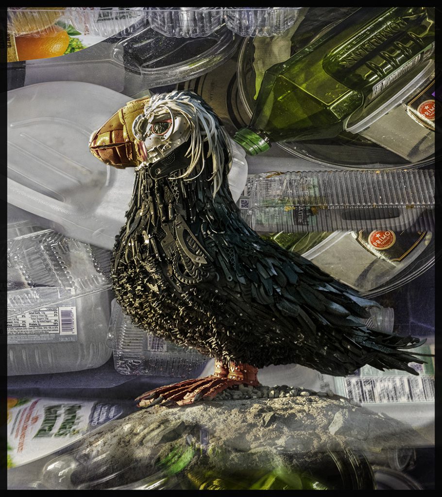 Plastic Plastic Plastic - George Peterson